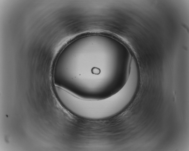 X0000099401327200805221846