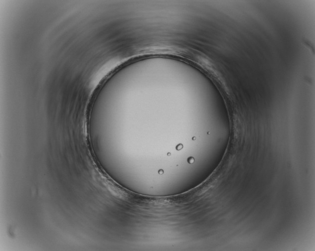 X0000099401328200805221846