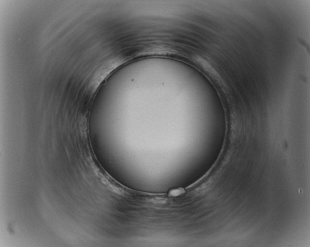 X0000099401329200805221846