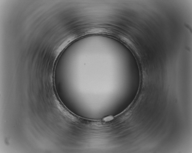 X0000099401330200805221846