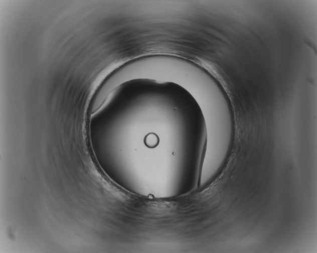 X0000099401331200805221846