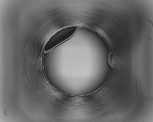 X0000099401332200805221846