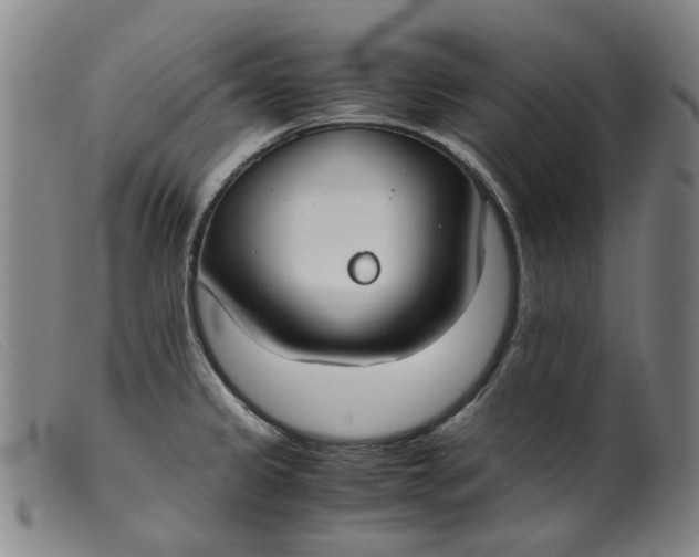 X0000099401333200805221846