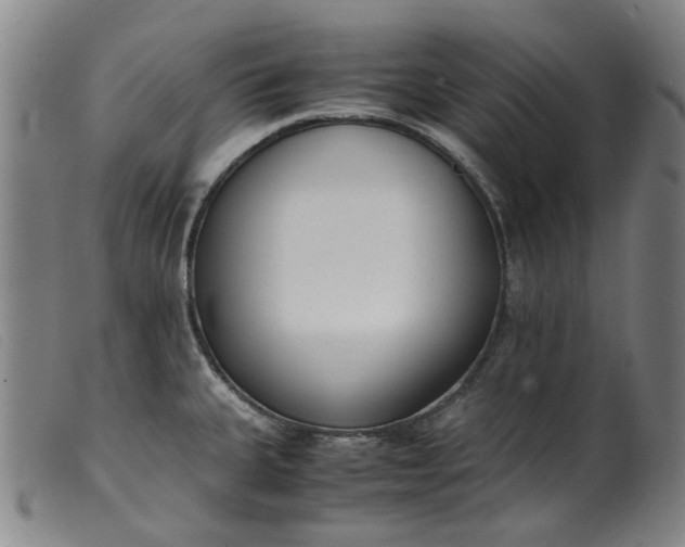 X0000099401335200805221846