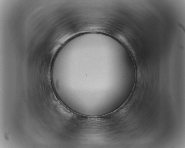 X0000099401336200805221846