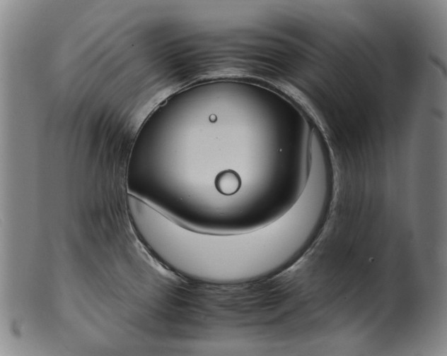 X0000099401337200805221846