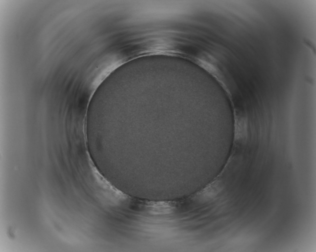 X0000099401338200805221846