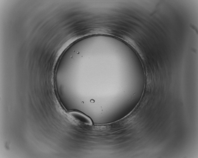 X0000099401339200805221846