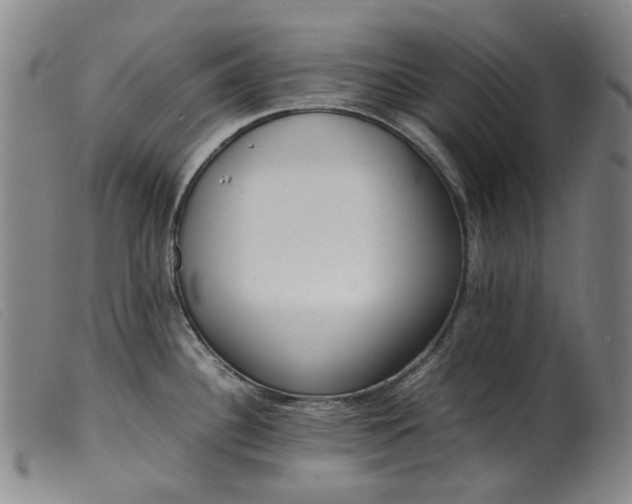 X0000099401340200805221846