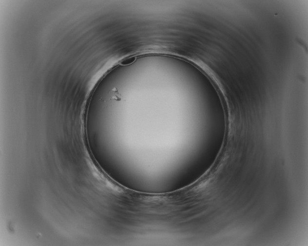 X0000099401341200805221846