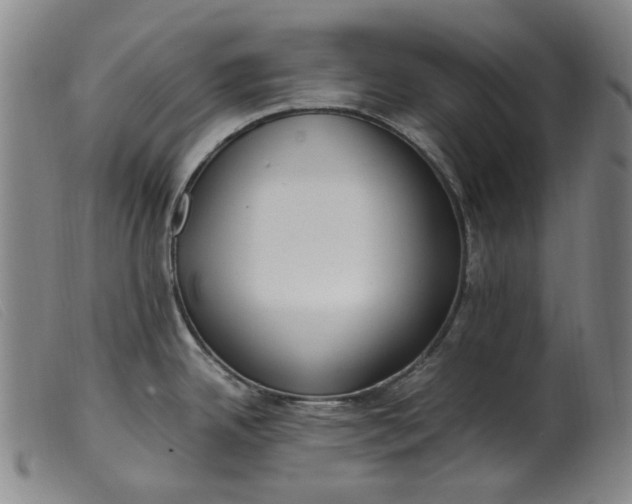 X0000099401342200805221846