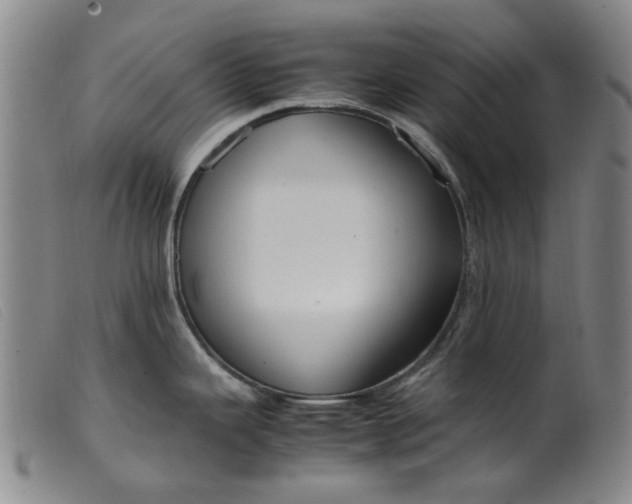 X0000099401343200805221846