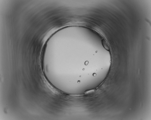 X0000099401344200805221846