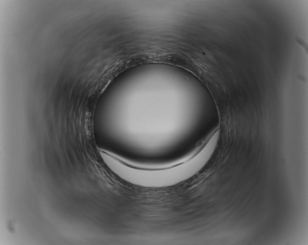 X0000099401346200805221846