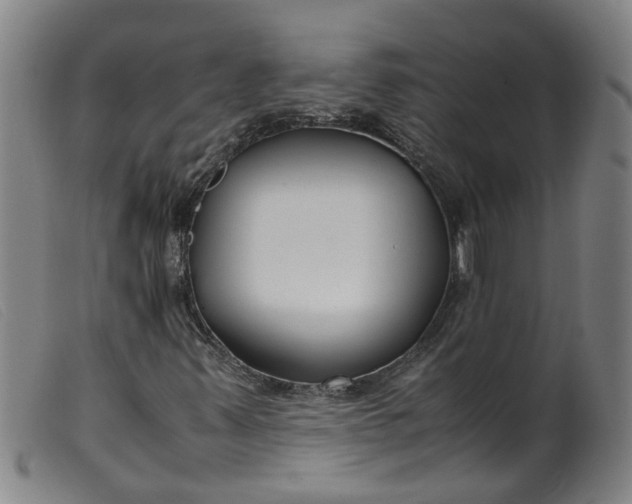 X0000099401347200805221846