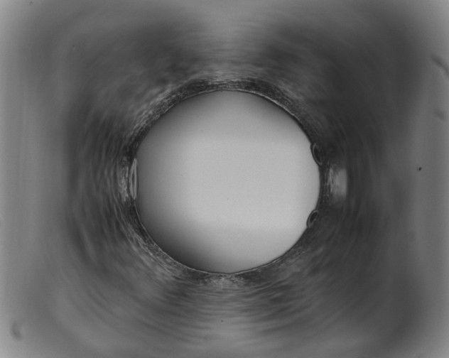 X0000099401348200805221846