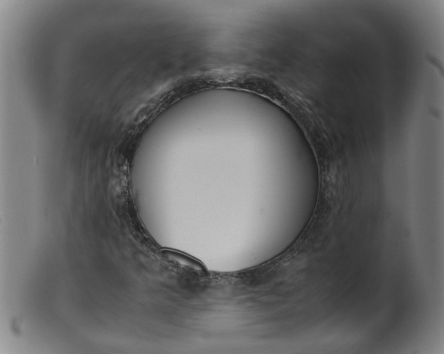 X0000099401349200805221846