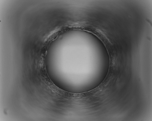 X0000099401350200805221846