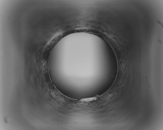 X0000099401351200805221846