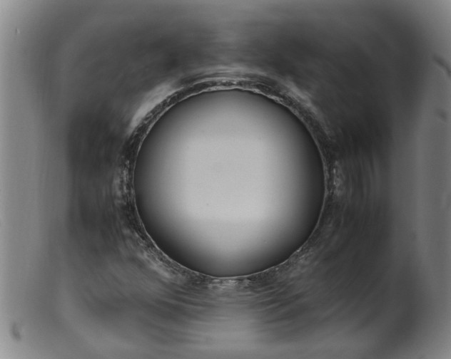 X0000099401352200805221846