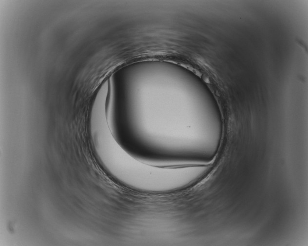 X0000099401353200805221846