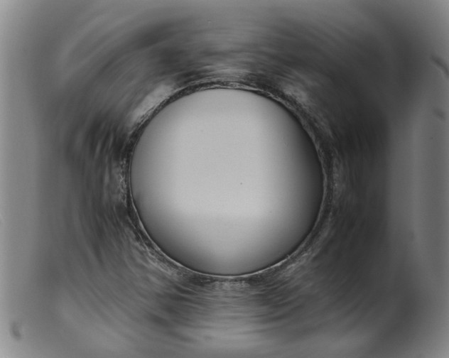 X0000099401354200805221846