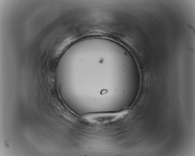 X0000099401355200805221846