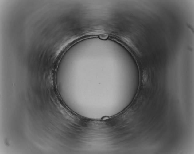 X0000099401356200805221846