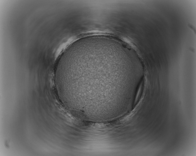 X0000099401357200805221845