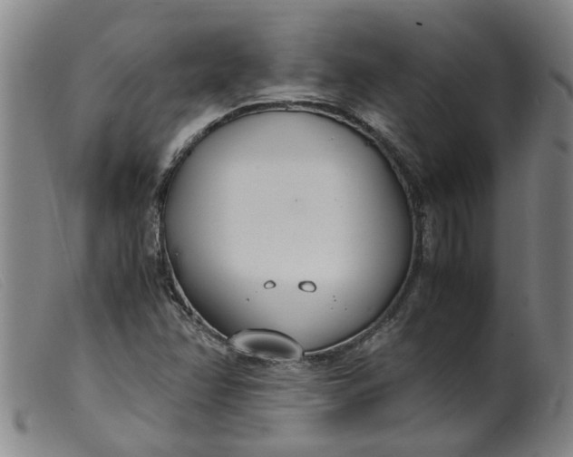 X0000099401358200805221845