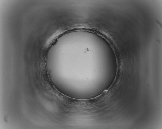 X0000099401359200805221845