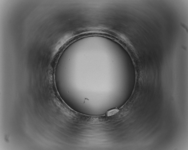 X0000099401360200805221845