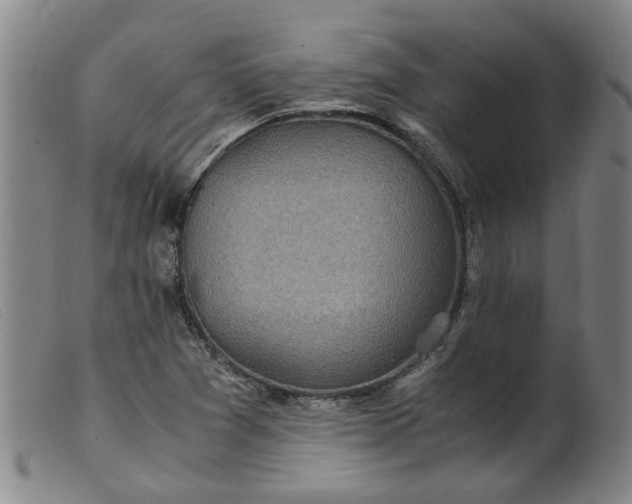 X0000099401361200805221845