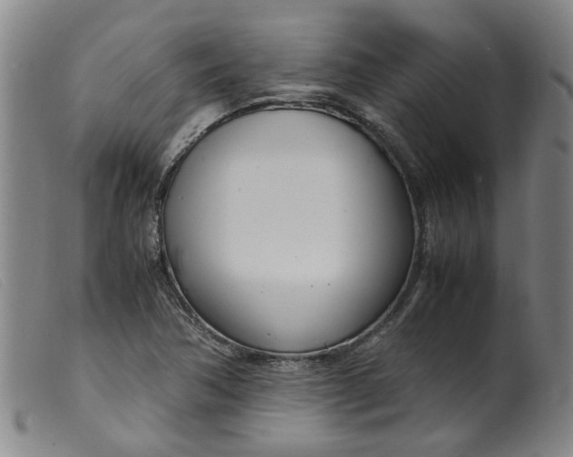 X0000099401362200805221845