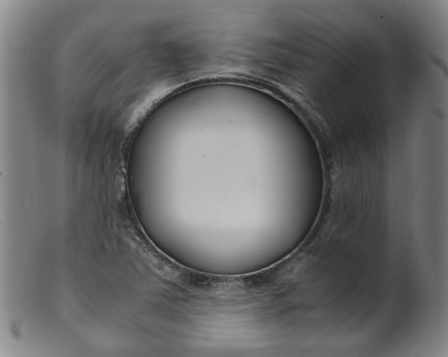 X0000099401363200805221845