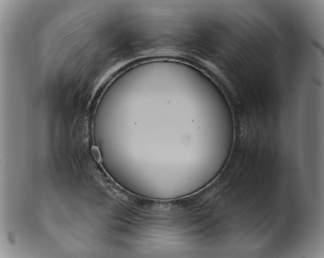 X0000099401364200805221845