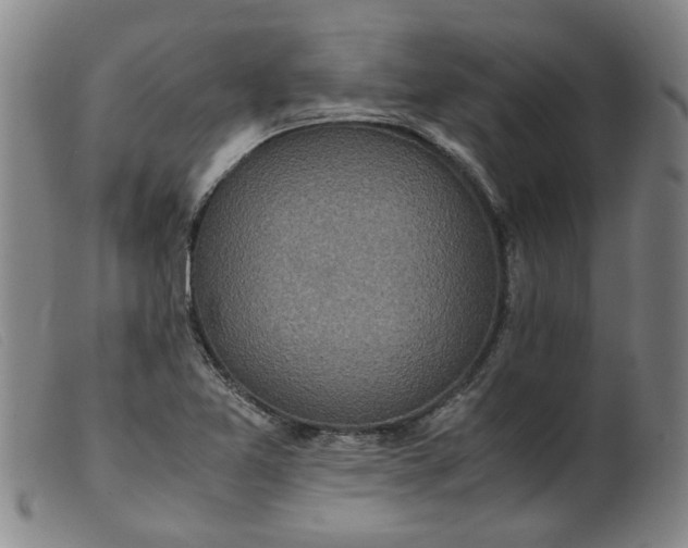 X0000099401365200805221845