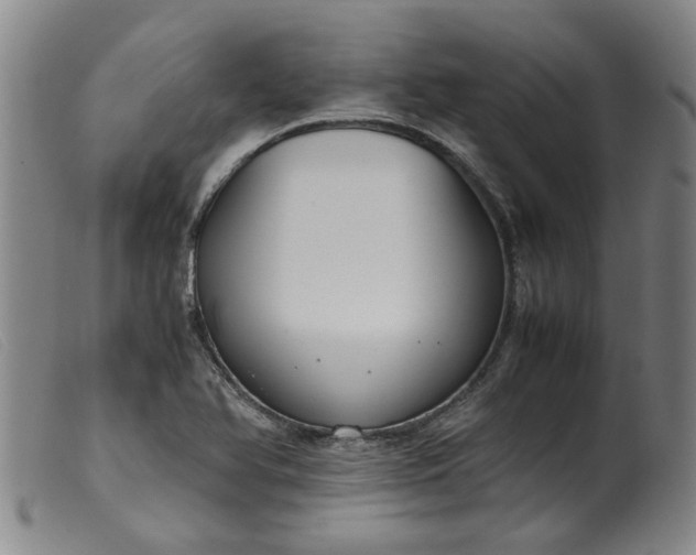 X0000099401366200805221845