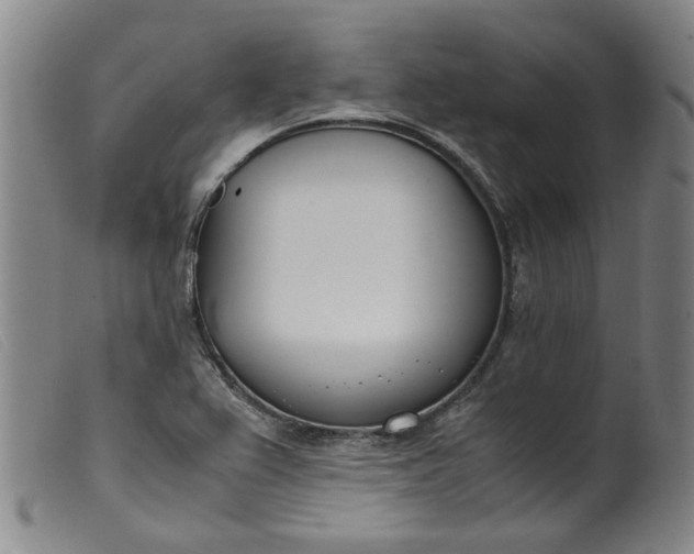 X0000099401367200805221845