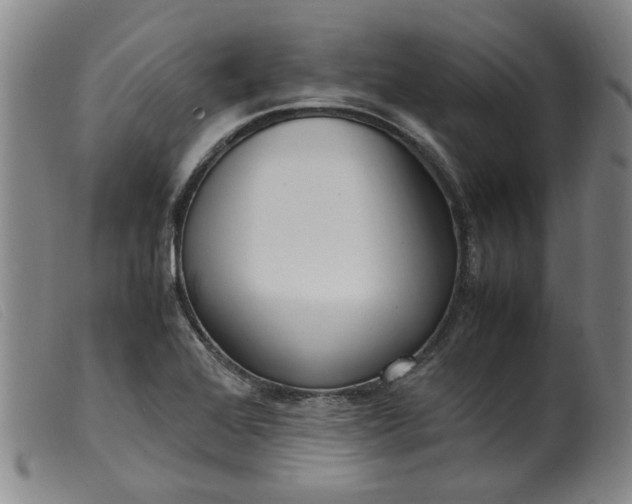 X0000099401368200805221845