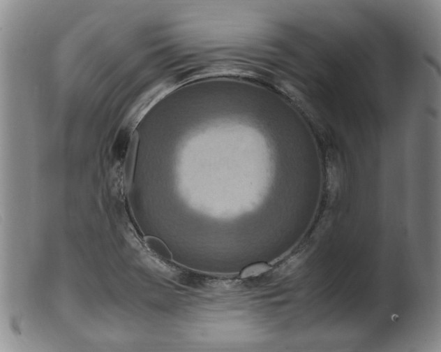 X0000099401369200805221845