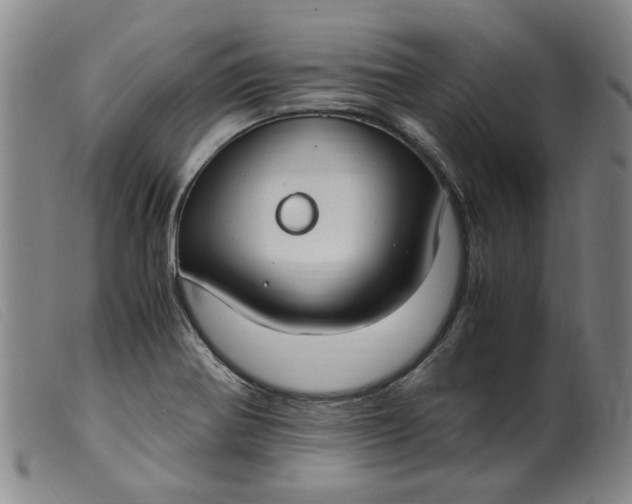 X0000099401370200805221845