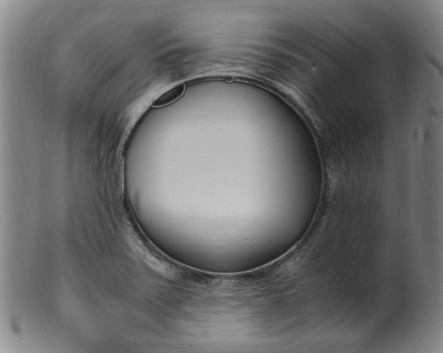 X0000099401371200805221845