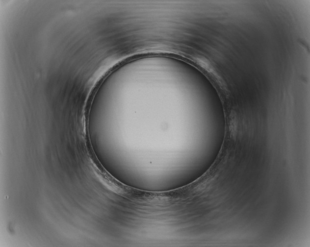 X0000099401372200805221845