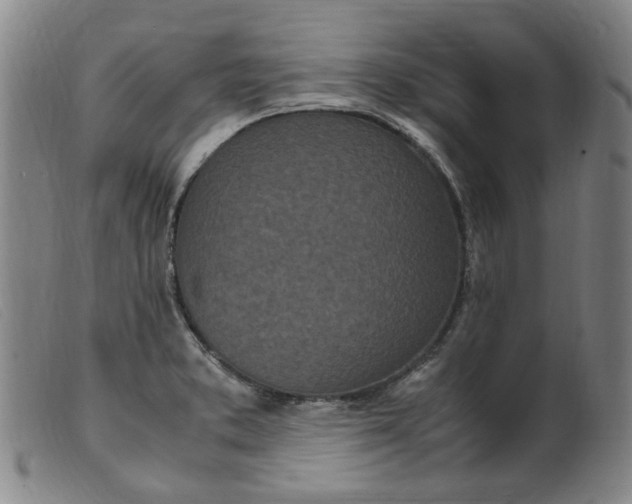 X0000099401373200805221845