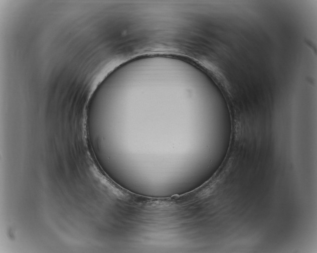 X0000099401374200805221845