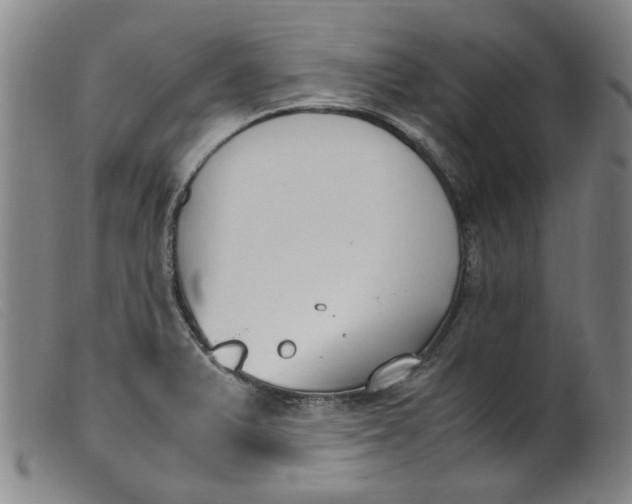 X0000099401375200805221845