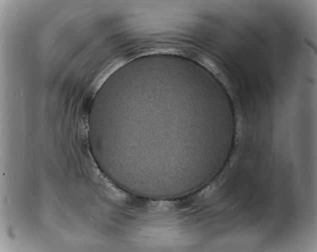 X0000099401377200805221845