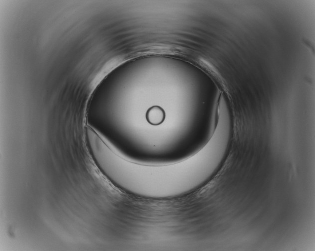 X0000099401378200805221845