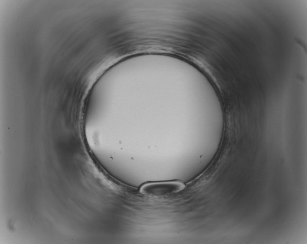 X0000099401379200805221845